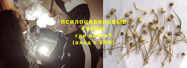 spice Балабаново